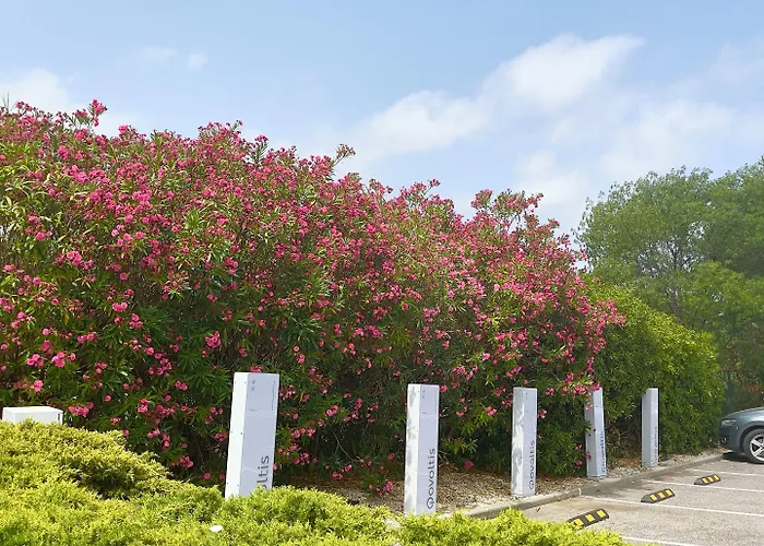 Premiere Classe Sud * بيربينيو