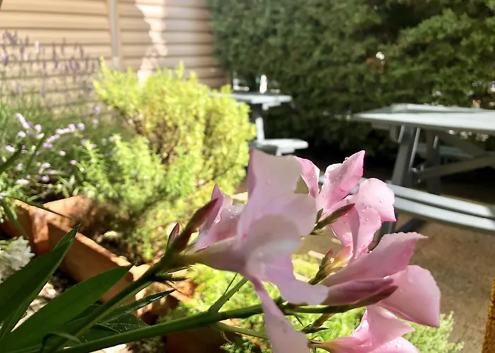 Premiere Classe Sud فندق