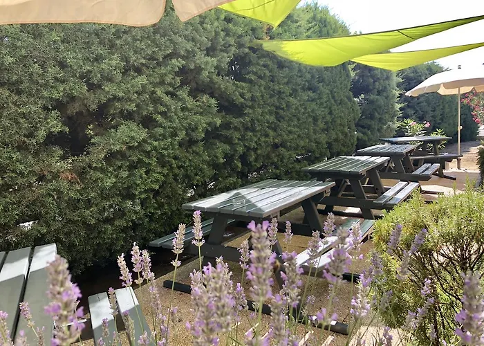 Premiere Classe Sud فندق بيربينيو